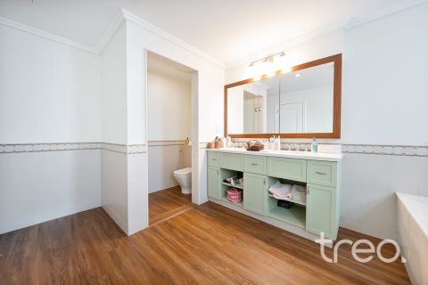 4 غرف نوم فيلا في Palma, الإمارات العربية المتحدة رقم 173519 10
