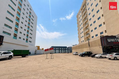 Land de 1219.3m² à Dubai, UAE No. 198650 11