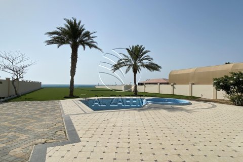 7 bedrooms Villa in Marina Village, UAE No. 91329 16