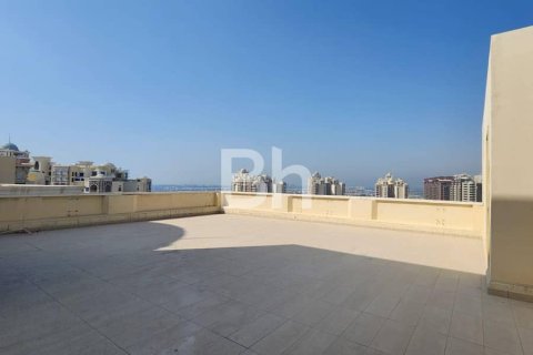 Penthouse de 4 chambres  No. 113929 16