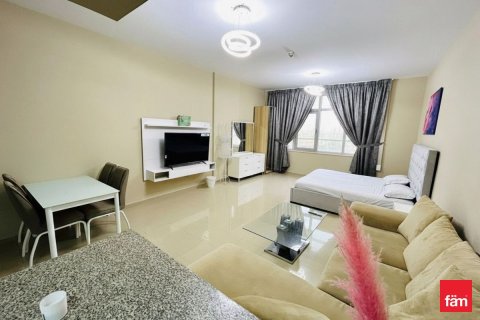 Studio Apartment in Dubai, UAE No. 169865
