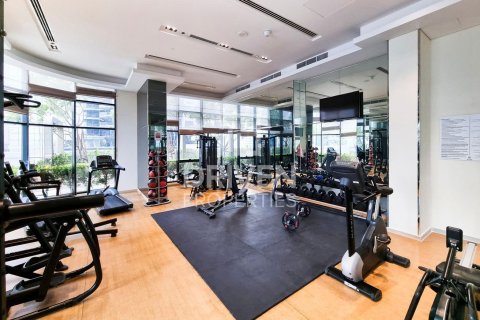 Apartment de 1 dormitorio en Downtown Dubai (Downtown Burj Dubai), UAE No. 204051 13