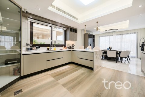 Villa de 4 dormitorios en Jumeirah Park, UAE No. 206090 7