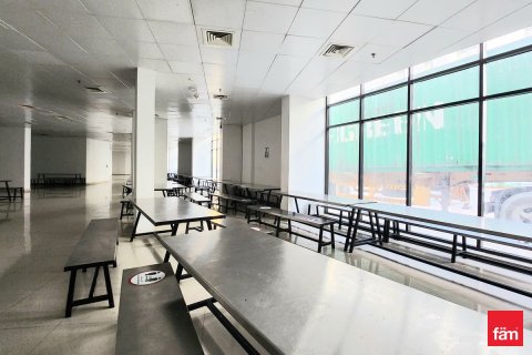 Campo de trabajo de 2920.3m² en Jebel Ali, UAE No. 166319 5