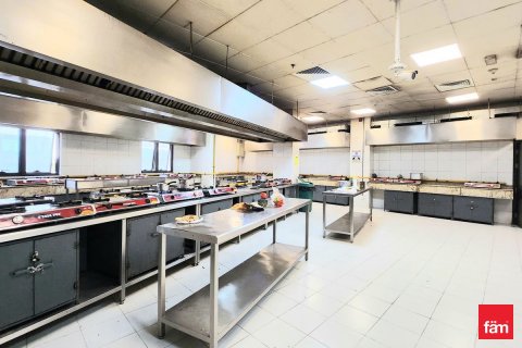 Campo de trabajo de 2920.3m² en Jebel Ali, UAE No. 166319 15