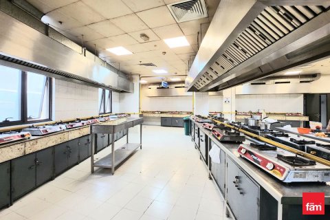 Campo de trabajo de 2920.3m² en Jebel Ali, UAE No. 166319 4