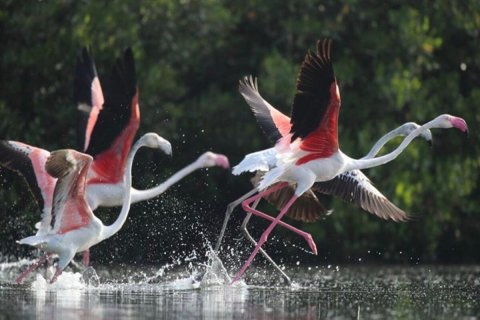 1 غرف نوم شقة في Al Zorah, الإمارات العربية المتحدة رقم 154329 20