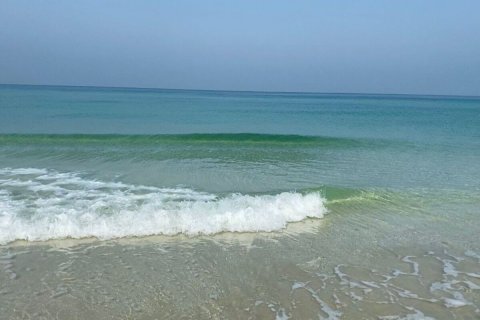 1 غرف نوم شقة في Al Zorah, الإمارات العربية المتحدة رقم 154329 28