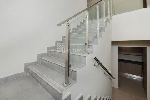 4 bedrooms Villa in District 11, UAE No. 141939 19