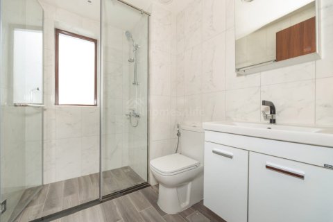 4 bedrooms Villa in District 11, UAE No. 148410 14