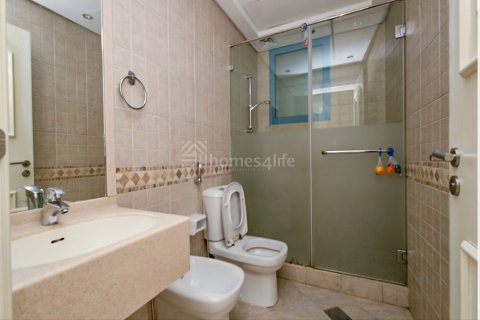 2 bedrooms Townhouse in Falcon City of Wonders, UAE No. 155205 2