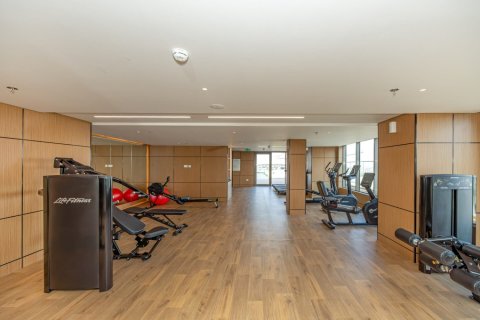 Квартира с 1 спальней в Дубай, ОАЭ №146700 2