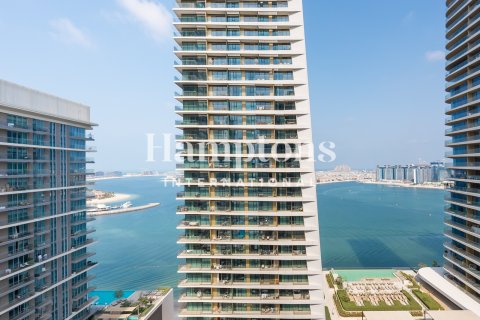 2 bedrooms Apartment in Dubai Harbour, UAE No. 164990 17