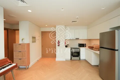Studio Apartment in Dubai Healthcare City, UAE No. 161472 9