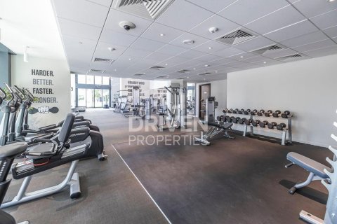 Studio Apartment in Boulevard Central Towers, UAE No. 192326 10