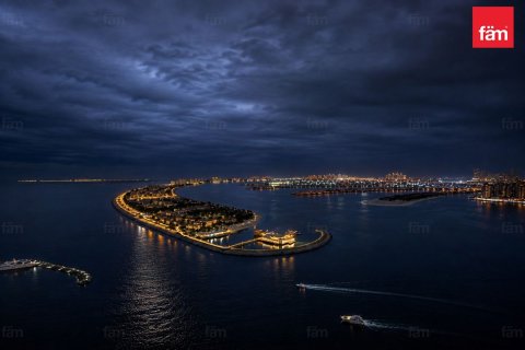 3 غرف نوم شقة في Dubai Harbour, الإمارات العربية المتحدة رقم 188332 18