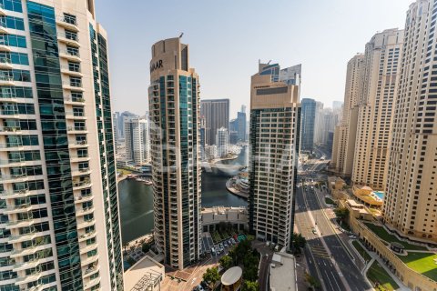 Appartement de 1 chambre à Park Island, UAE No. 168909 22