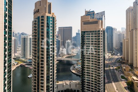 Appartement de 1 chambre à Park Island, UAE No. 168909 9