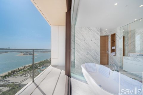 2 bedrooms Apartment in The Crescent, UAE No. 194017 15