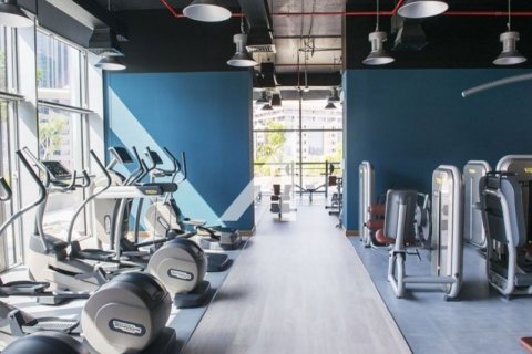 Studio Apartment  No. 118037 14