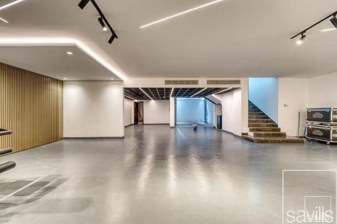 6 غرفة نوم فيلا في نخلة جميرا, الإمارات العربية المتحدة رقم 136757 22