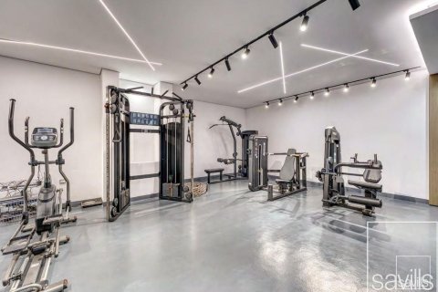 6 غرفة نوم فيلا في نخلة جميرا, الإمارات العربية المتحدة رقم 136757 23