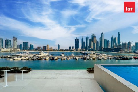 1 غرف نوم شقة في Dubai Harbour, الإمارات العربية المتحدة رقم 143481 15