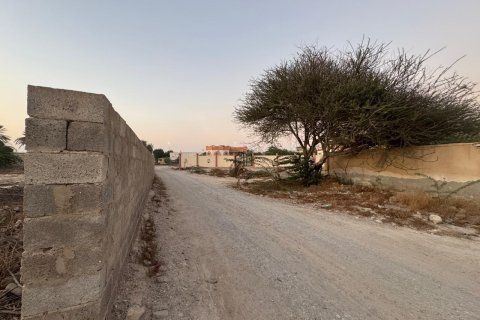 Земельный участок 7827м²  №124313 9