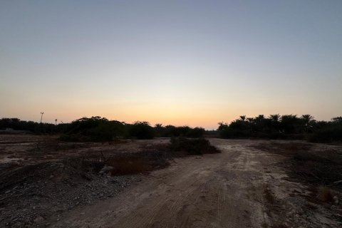 Земельный участок 7827м²  №124313 7