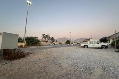 Земельный участок 7827м²  №124313 3