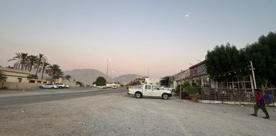 Земельный участок 7827м²  №124313