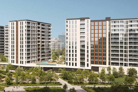 Appartement de 1 chambre  No. 123252 4