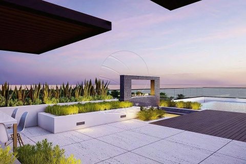 6 bedrooms Villa on the Saadiyat Island, UAE No. 91484 5