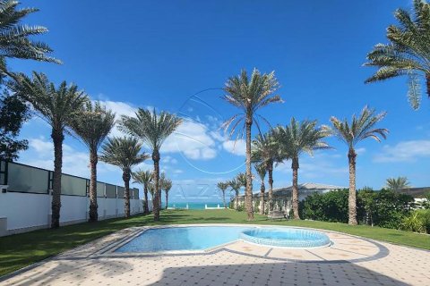 5 bedrooms Villa in Marina Village, UAE No. 91485 2
