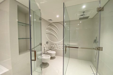 3 bedrooms Apartment on the Saadiyat Cultural District, UAE No. 91470 3