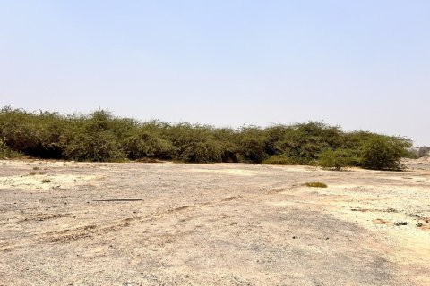 900مربع، قطعة أرض في Al Kharran, الإمارات العربية المتحدة رقم 172136 3