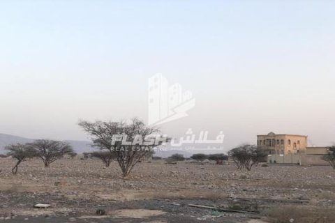900مربع، قطعة أرض في Seih Al Harf, الإمارات العربية المتحدة رقم 172140 9