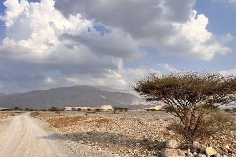 Land de 883m² à Seih Al Harf, UAE No. 172138 7