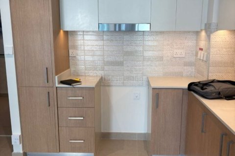 2 bedrooms Apartment in Mina Rashid, UAE No. 155243 9