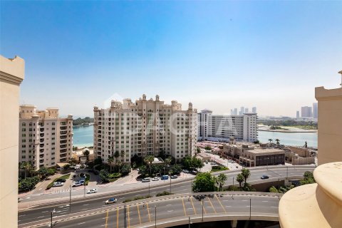 4 bedrooms Penthouse in Shoreline Apartments, UAE No. 155790 4