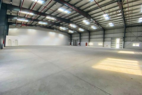 3065.8m² Warehouse in Phase 2, UAE No. 47662 4