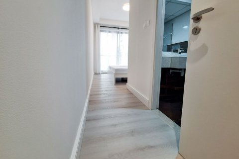 2 bedrooms Apartment in Ras Al Khaimah, UAE No. 184039 8