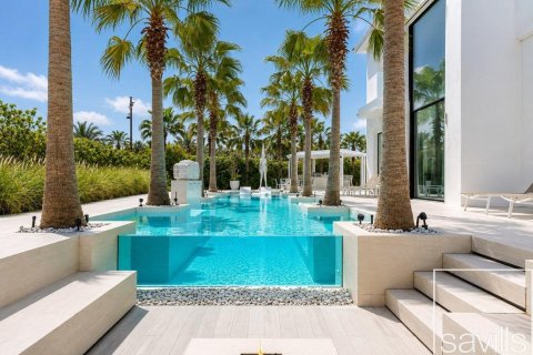 Вилла с 4 спальнями в Jumeirah Islands, ОАЭ №209098 3
