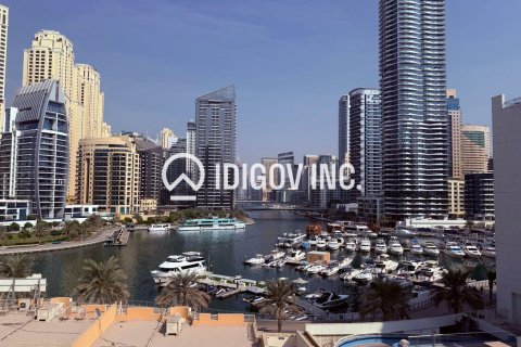 Studio Apartment in Dubai Marina, UAE No. 136373 13