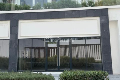Магазин 45м² в Meydan, ОАЭ №161647 3