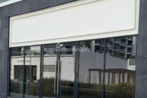 Магазин 45м² в Meydan, ОАЭ №161647 6