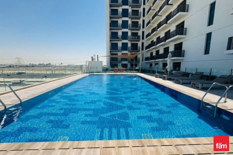 2 bedrooms Apartment  No. 117857 23