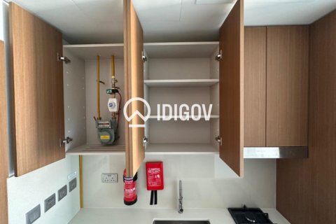 Studio Apartment in Dubai Studio City, UAE No. 184716 19