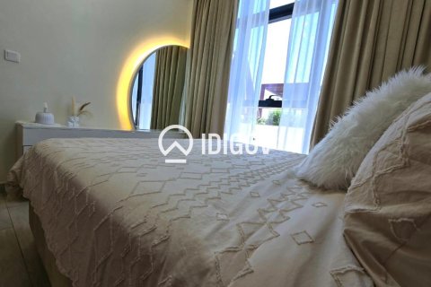 1 bedroom Apartment in Meydan, UAE No. 184720 12