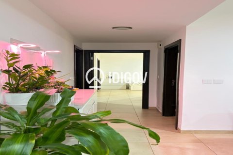 2 غرف نوم شقة في Remraam, الإمارات العربية المتحدة رقم 184717 10